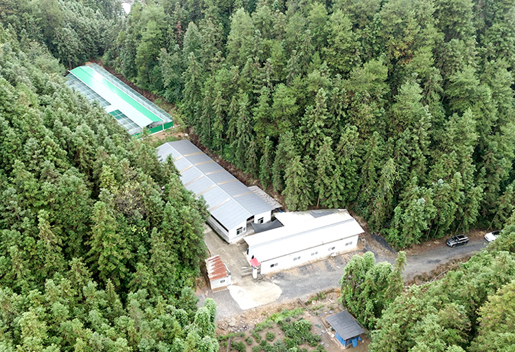 畅享山林，瑶台臻品