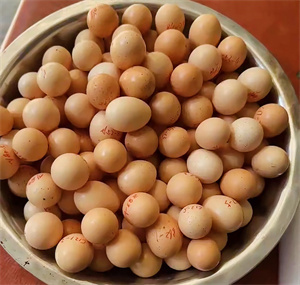 新鲜采摘的畅瑶富硒竹鸡蛋，蛋黄饱满，蛋清浓稠